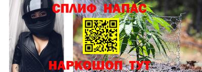 твердый Камень-на-Оби