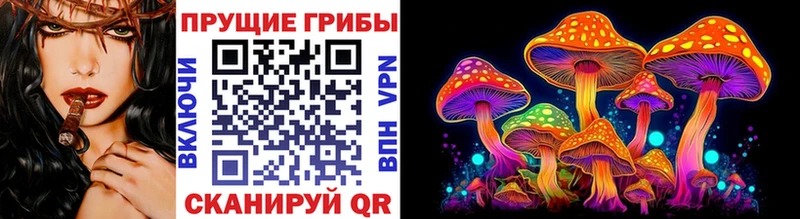 кракен   Копейск  Галлюциногенные грибы Psilocybine cubensis 