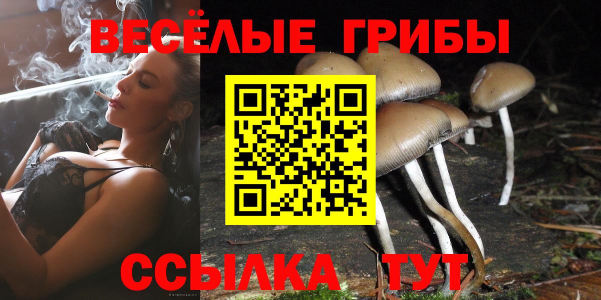 Псилоцибиновые грибы Psilocybine cubensis Копейск