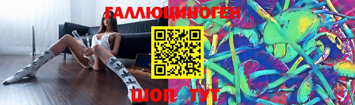 Псилоцибиновые грибы GOLDEN TEACHER  Вход с VPN  Копейск  Галлюциногенные грибы GOLDEN TEACHER 